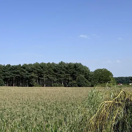 House Near Le Mans Circuit With Vakantiehuis *